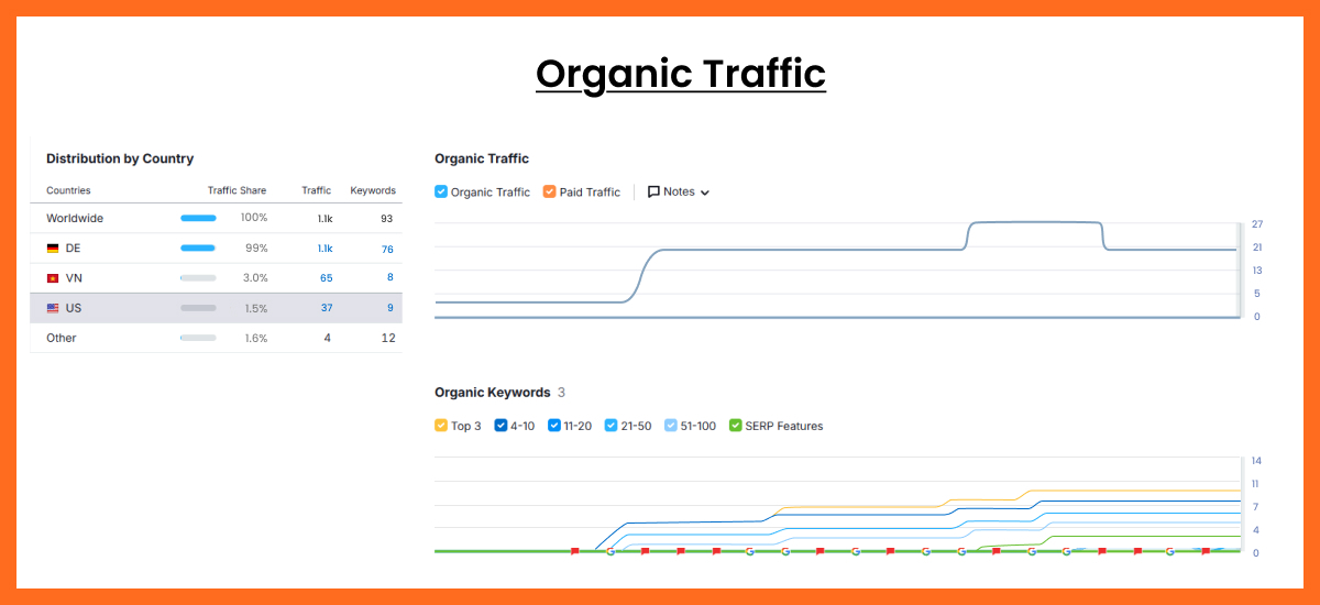 Organic Traffic Report