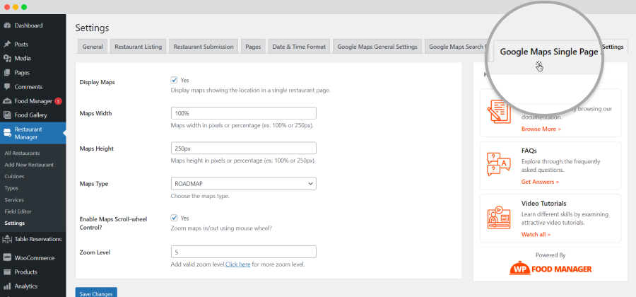 Google Maps Single Page Settings Tab
