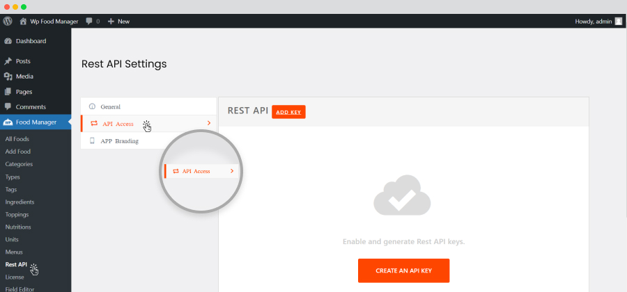 api-access-tab