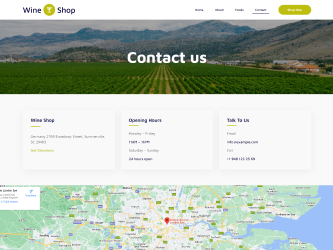 Wineshop Template Contact